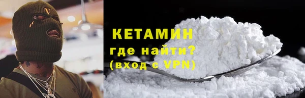 крисы Тайга