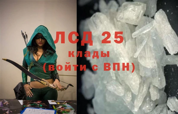 ГАЛЛЮЦИНОГЕННЫЕ ГРИБЫ Волосово